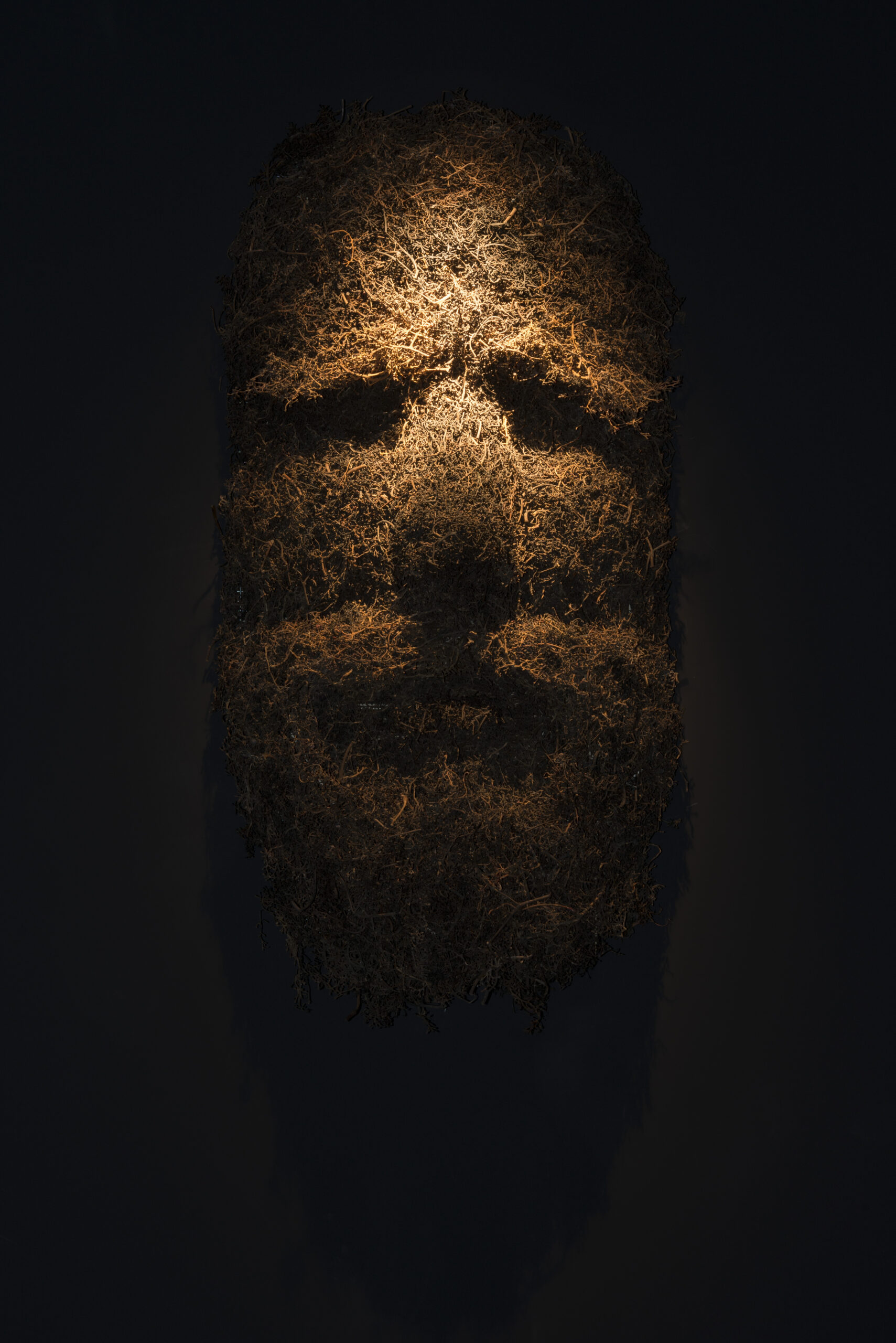 Photo de l'œuvre Aruspice