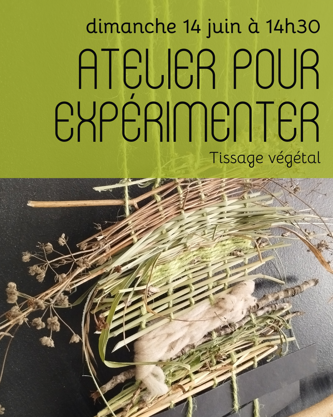 Visuel de l'atelier tissage végétal