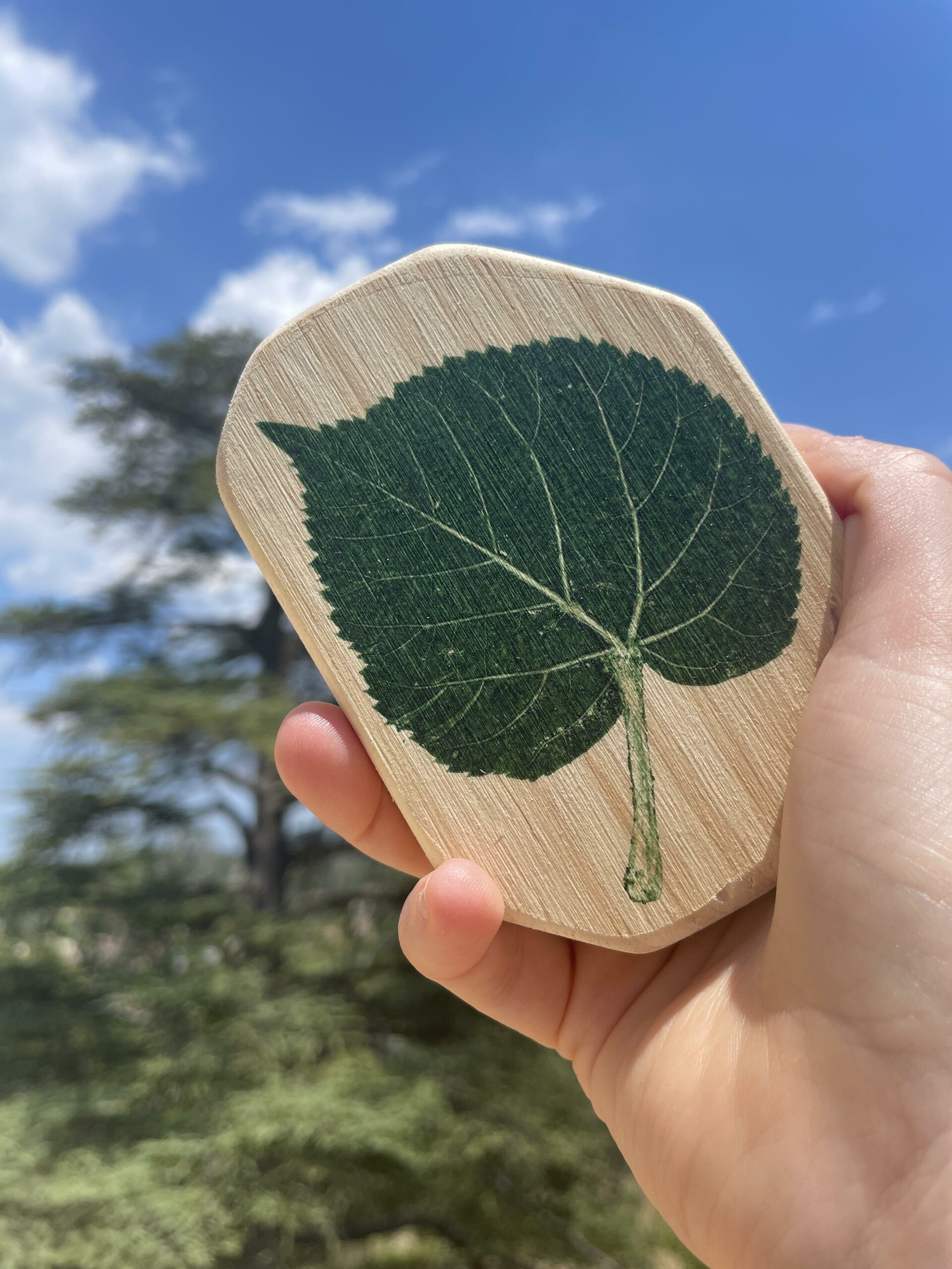 centre d'art contemporain de châteauvert